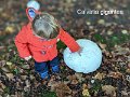 Calvatia gigantea-amf1925-2